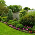 : cute backyard landscaping ideas