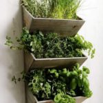 : indoor herb garden kit