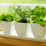 : indoor herb garden light