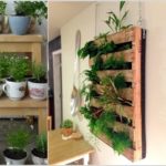 : indoor herb garden winter